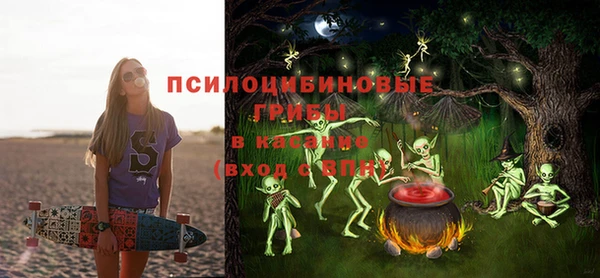 ГАЛЛЮЦИНОГЕННЫЕ ГРИБЫ Армянск
